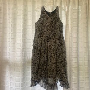 Girls animal print dress! Very cute!